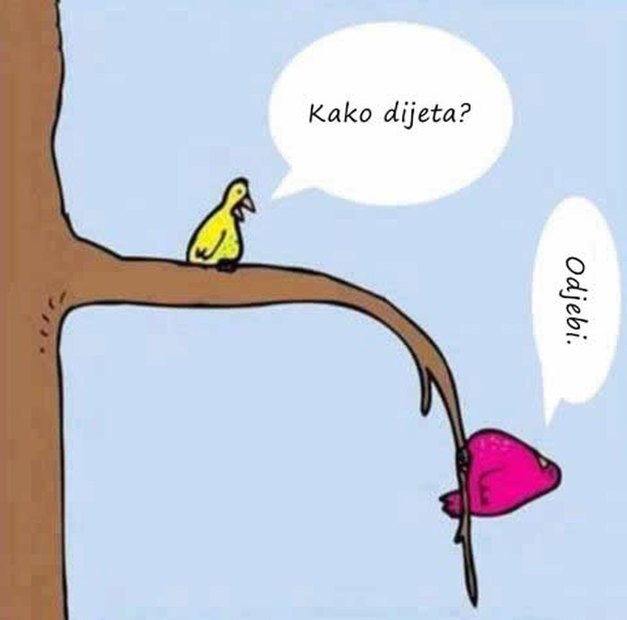 Kad pitaš glupa pitanja..