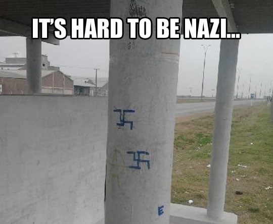 Nacizam spao na niske grane, kao i njihov IQ