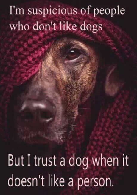 Kome vjeruješ više - psu ili čovjeku?