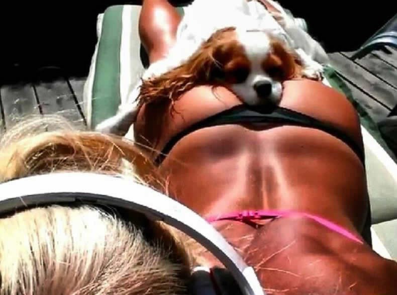 Pa nije nešto težak taj pseći život!