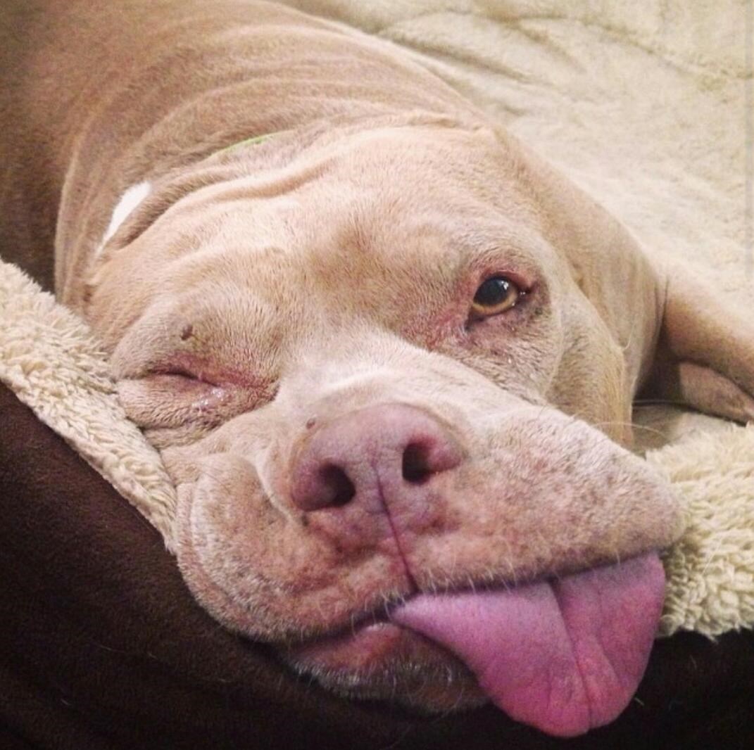 Faca za subotnje jutro: Ne ustajem makar svijet stao!