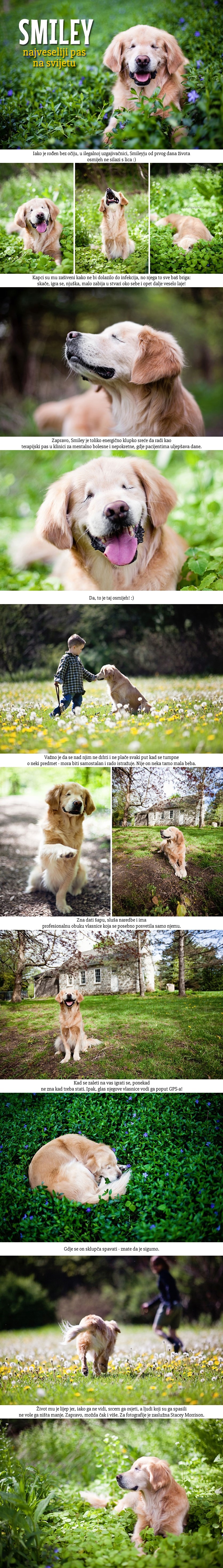 Galerija: Nasmijani slijepi pas uči te što znači voljeti život