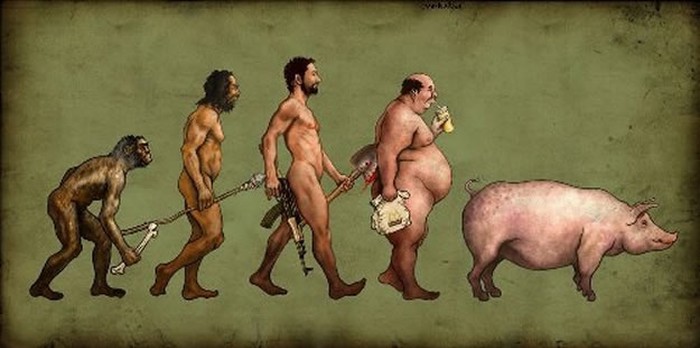 Teorija i rezultati evolucije se malo razilaze