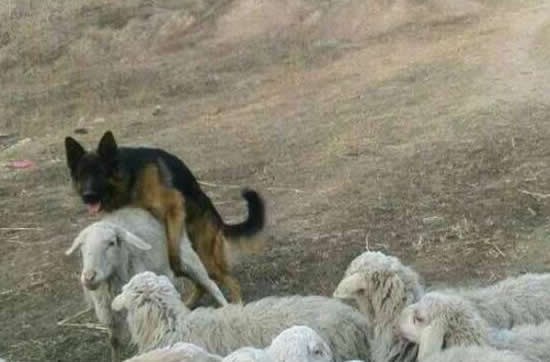 Ljubavi se rađaju i na radnom mjestu