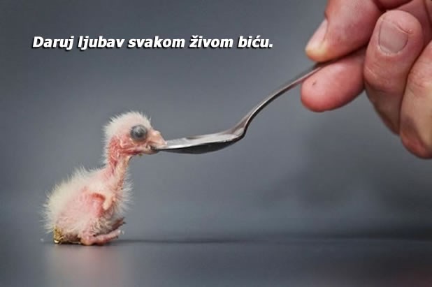 Vrijednost velikih mjeri se njihovim odnosom prema malima