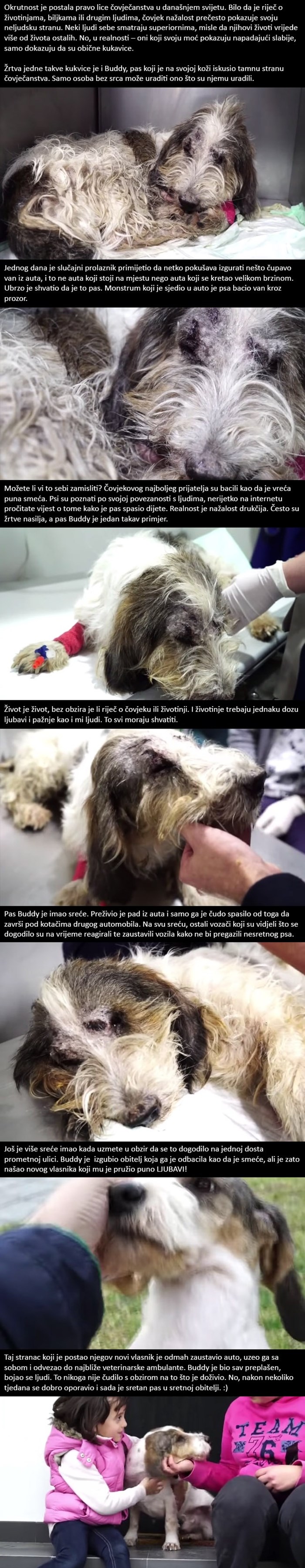 Pročitajte priču o nesretnom psu kojeg je monstrum bacio van iz vozećeg auta