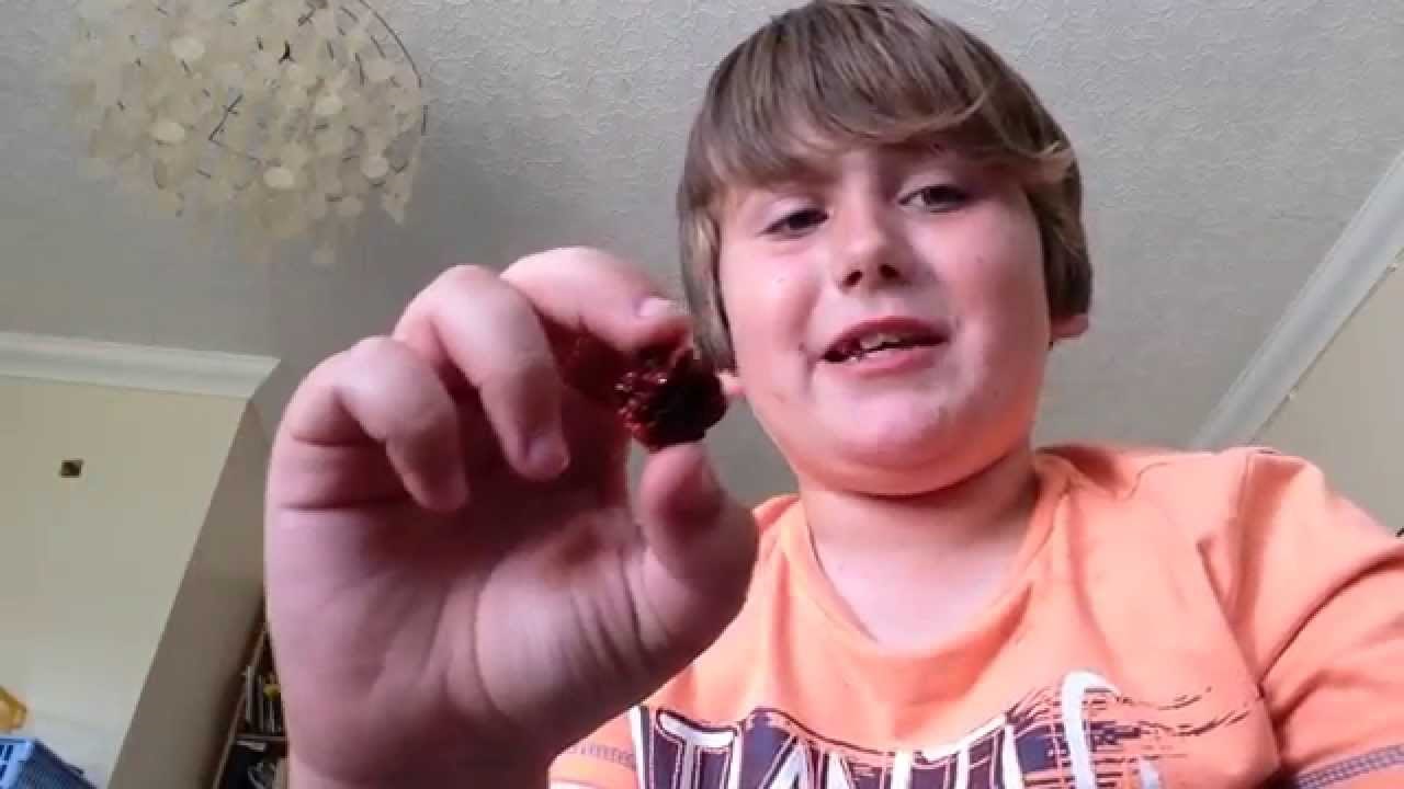 VIDEO: Škotski klinjo pojeo rekordno ljuti čili i očajnički zažalio zbog tog