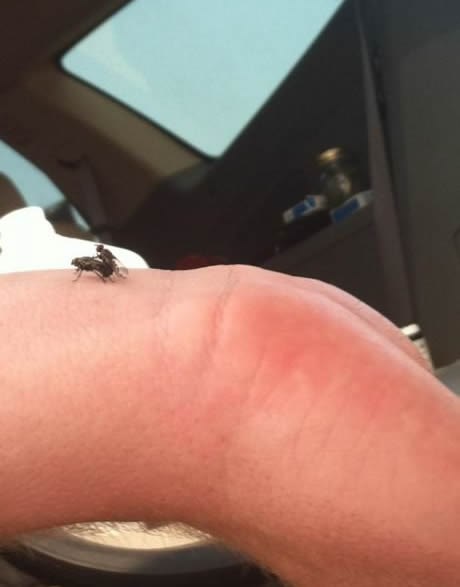 "Draga, danas vodimo ljubav na čovjeku!"