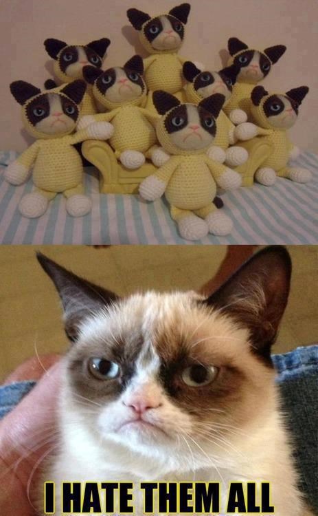 Mrzovoljni mačak mrzi igračke sa svojim likom