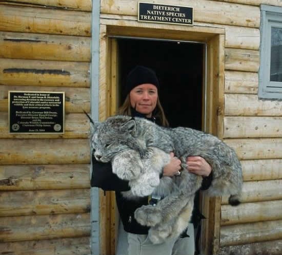 Veeeelika mica maca!
