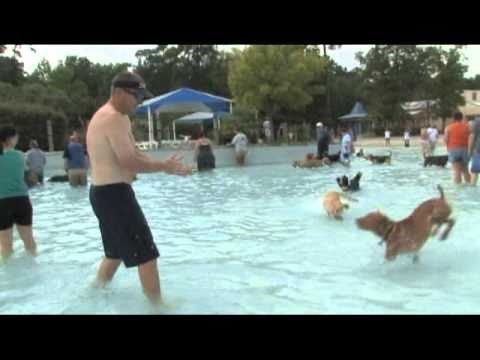 "Pseći dan" u vodenom parku čisti je raj za pse i vlasnike!