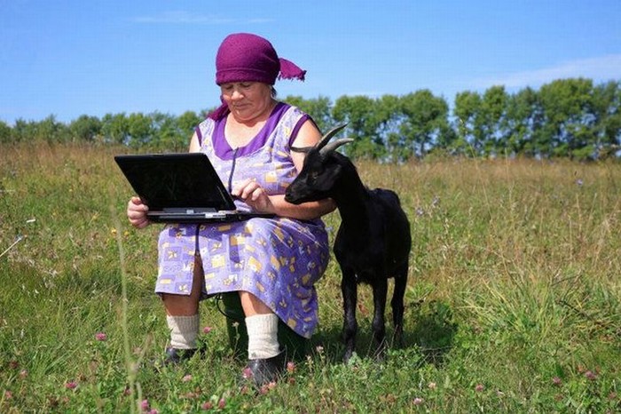 Baba ima vezu: Google Street View nađe stado u tren oka