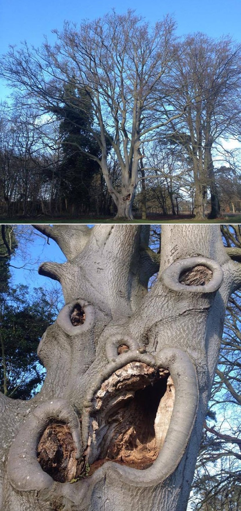 Prirodna reakcija na novu Vladu