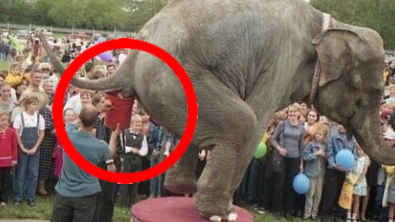 TOP 10 naužasnijih poslova na svijetu