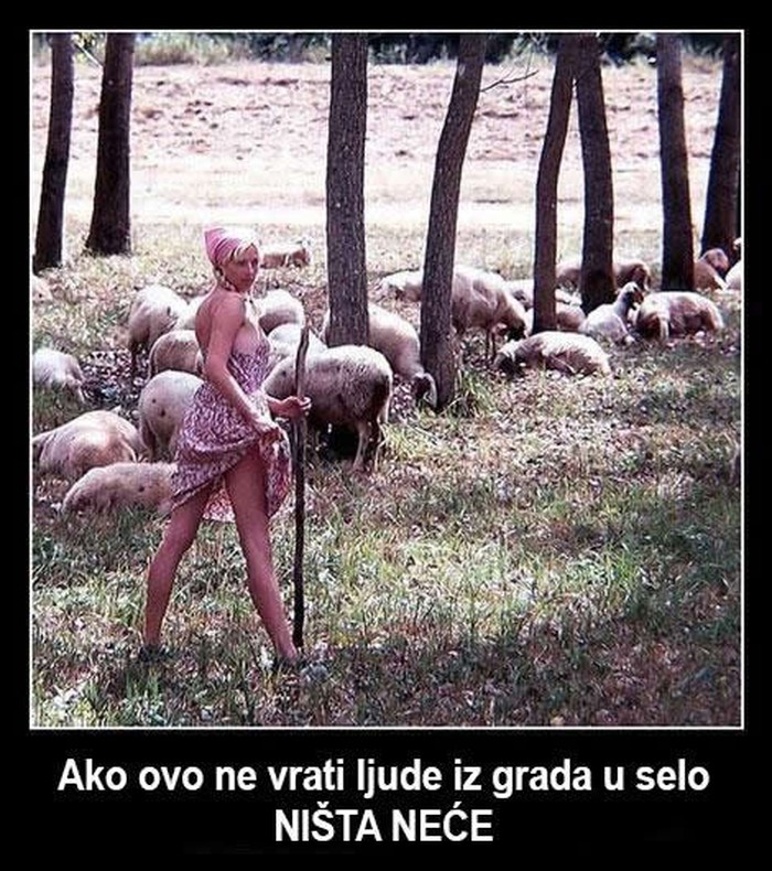 Čobanice, dođi amo, da se malo poigramo