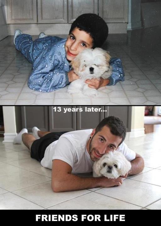 Dječak odrastao, čupavi djedica pas i dalje uz njega