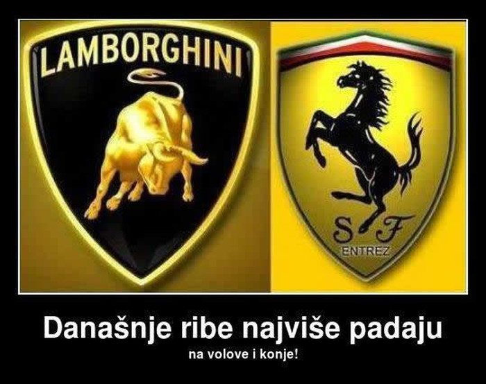 Sponze danas vole samo volove i konjine