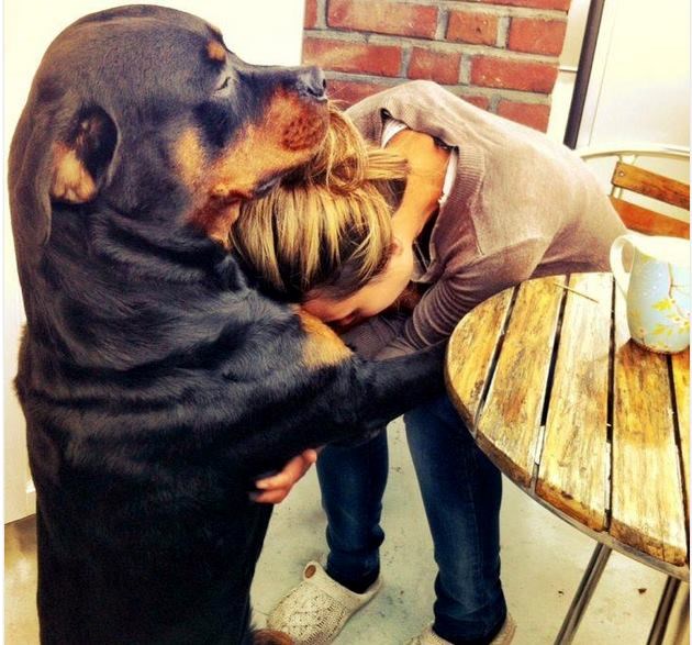 Ne brini, sve će biti u redu..