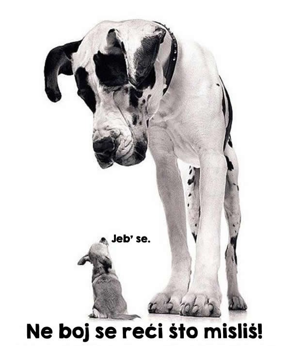 Ne pleši kako drugi sviraju!