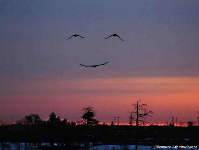 Priroda je čudesnija od mašte