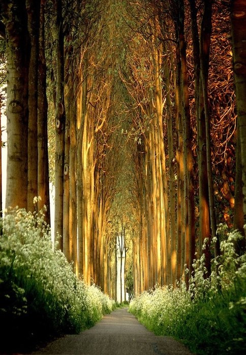 Čarolija prirode nadmaši i naše bajke