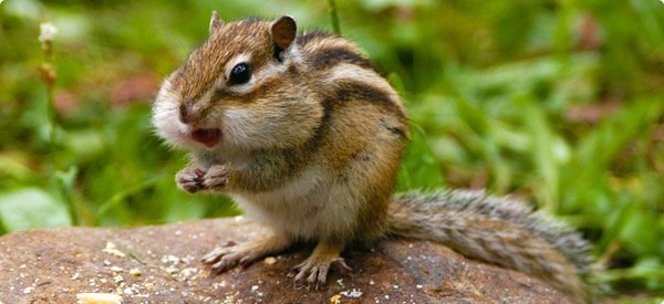 Ajde sad budi minus 20, ajde da te vidim kad se udebljam!