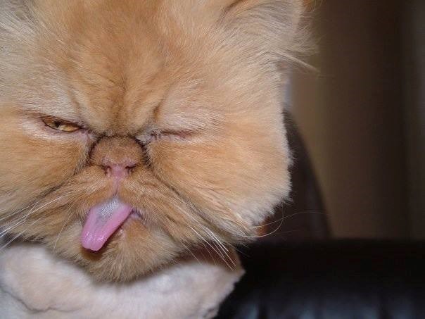 Kaj je, ti misliš da si seksi kad ovak za selfije poziraš!