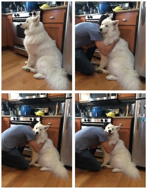 Svako biće prepoznaje ljepotu zagrljaja