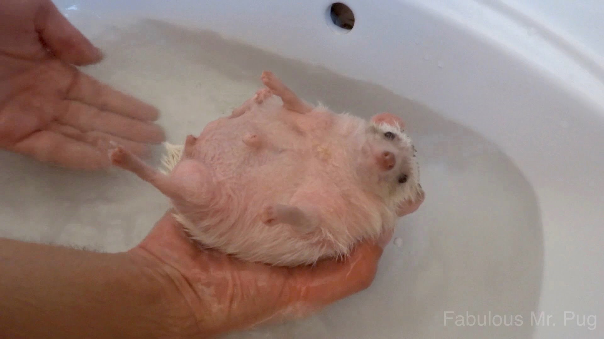 Ako još niste, pogledajte ovaj VIDEO