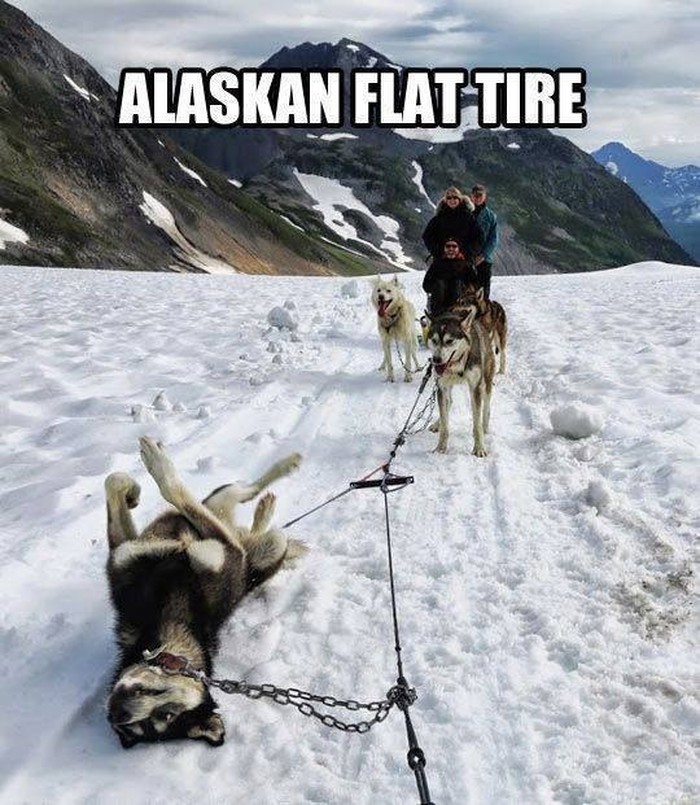 Kad ti "pukne guma" na Aljasci