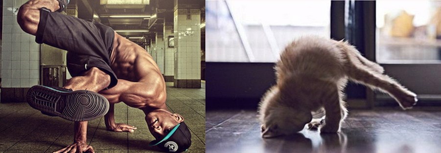 Sve smo pokrali od ljubimaca!