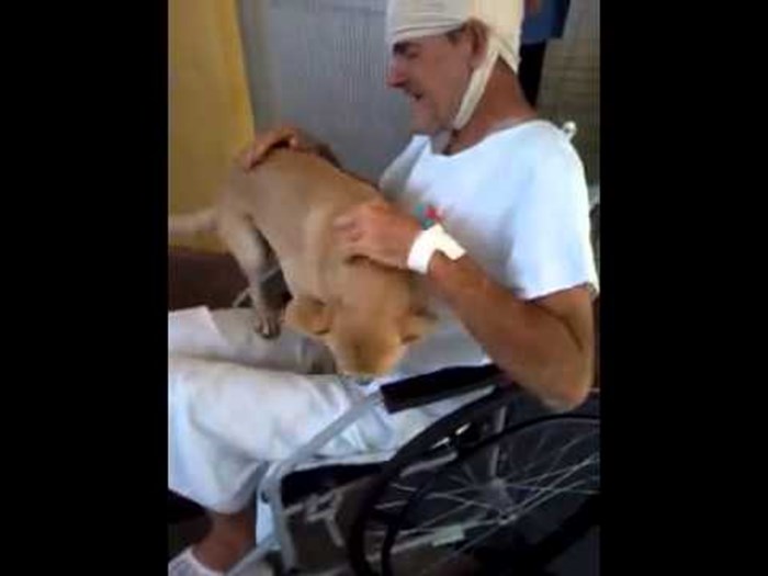 Beskućnikov pas danima čekao prijatelja pred bolnicom, a onda su im se smilovali!