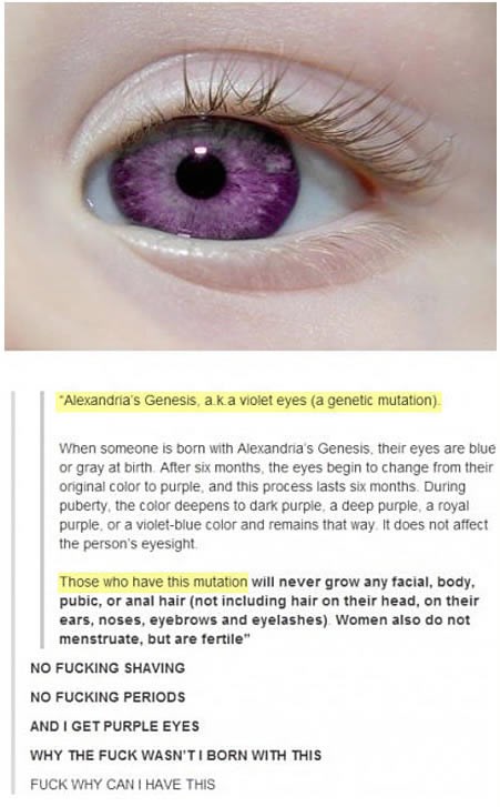 Seksi mutacija: Ljubičaste oči