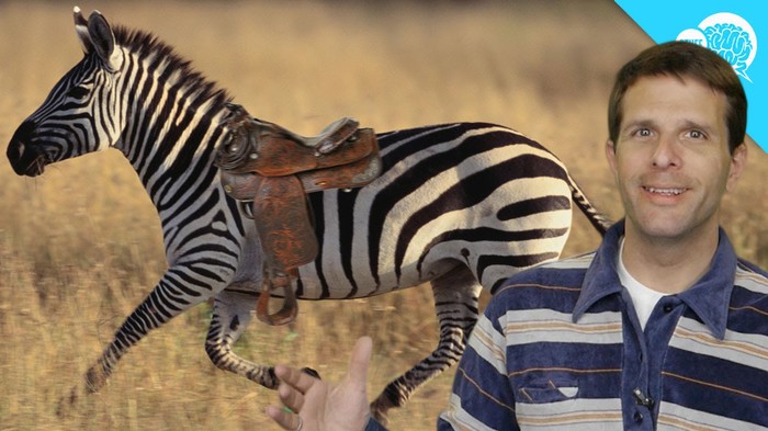 VIDEO: Zašto ne jašemo zebre?