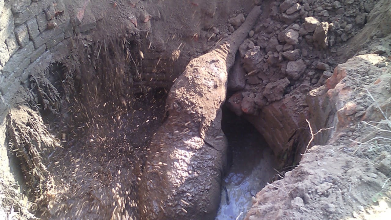 Video: Mama slonica se 11 sati nije dala otrgnuti od bunara iz kojeg je spašavala mladunče!