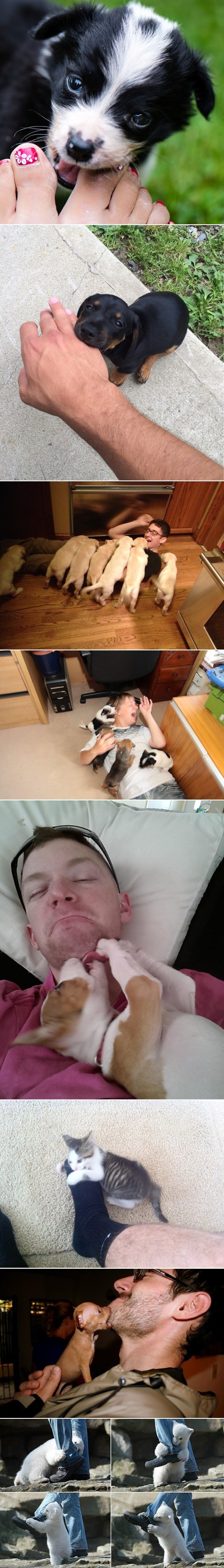 GALERIJA: Kad strašne pahuljaste zvjerke krenu u napad!