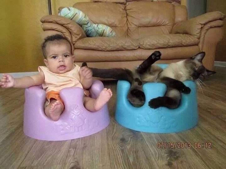 Gazdarica, ne mogu više, ovo dijete nikad neće naučit!