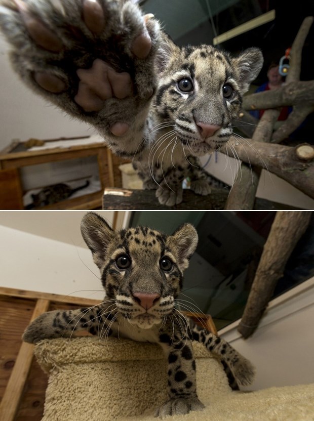 Ma daj taj fotić amo!