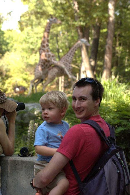 Napaljene žirafe "Kama Sutra pozom" upropastile fotku