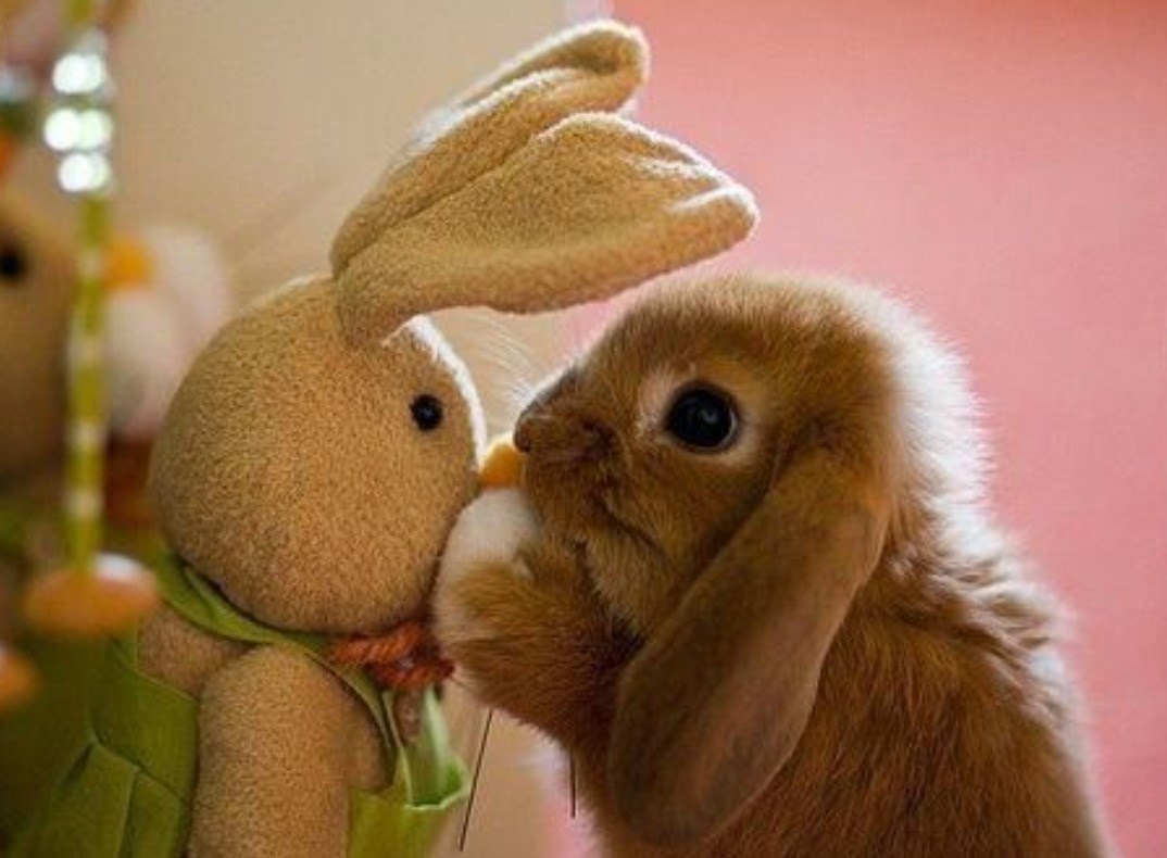 Jesi ti moj novi najnoviji prijatelj, jel jesi?