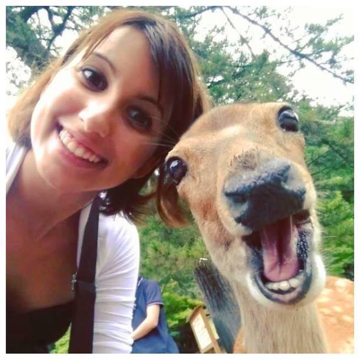 Bambi čuo da su selfiji u modi