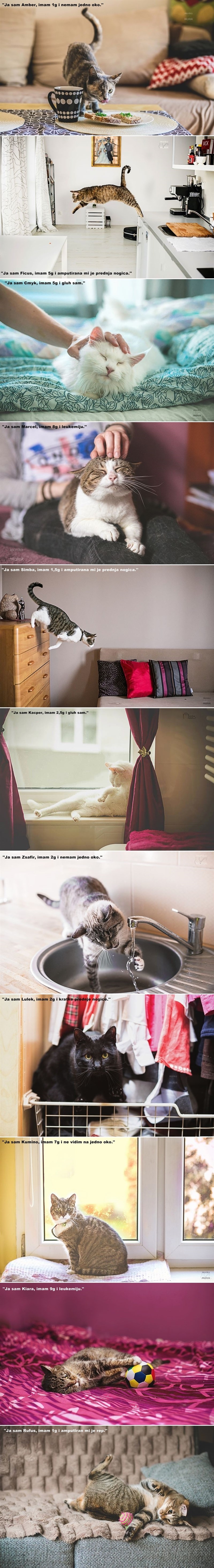 Ova žena svojim predivnim fotografijama ruši predrasude!