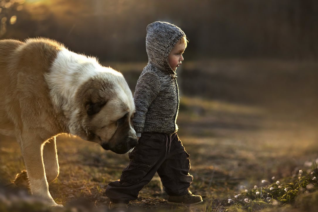 Dječačić i njegov vjerni pas: Jutarnje uživanje u životu