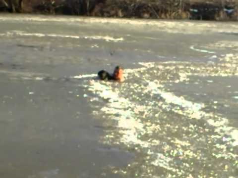 VIDEO: Golim rukama je razbijao led da si spasi psa zatočenog nasred jezera!