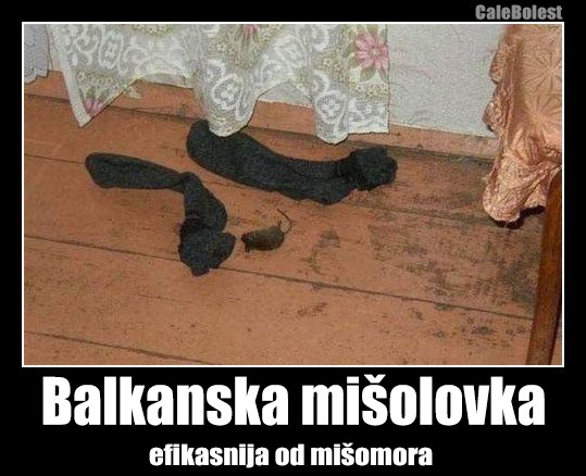 Balkanska mišolovka