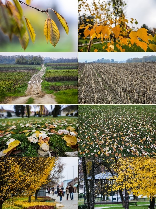 Podravske boje jeseni