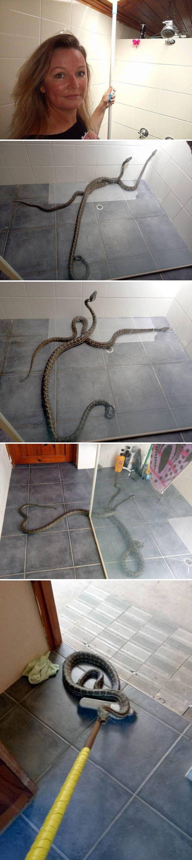 Iznenađenje u tuš kabini: Evo zbog čega se nekima od vas život u Australiji ne bi nimalo svidio