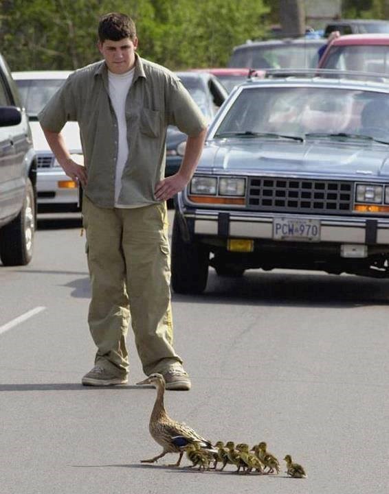 Pa patkicu ti tvoju: Hrabra mama zaustavila promet