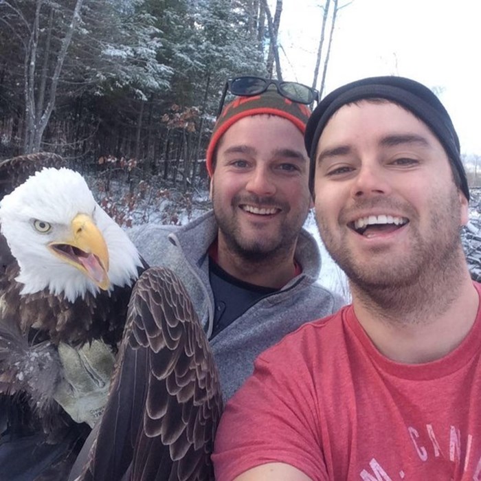 SELFIE S ORLOM: Braća iz Kanade spasila orla, opalili selfie za uspomenu