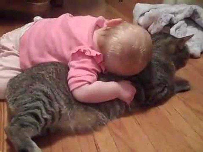 Beba je odlučila - ova je maca njezina najbolja prijateljica